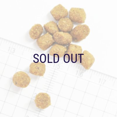 画像2: お一人様何回でもOK【無料サンプル（少量パック）（一度のご注文では5種類まで）】ナウフレッシュ グレインフリー キトン