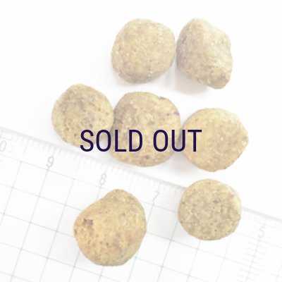 画像2: お一人様何回でもOK【無料サンプル（少量パック）（一度のご注文では5種類まで）】ナウフレッシュ グレインフリー フィッシュアダルト