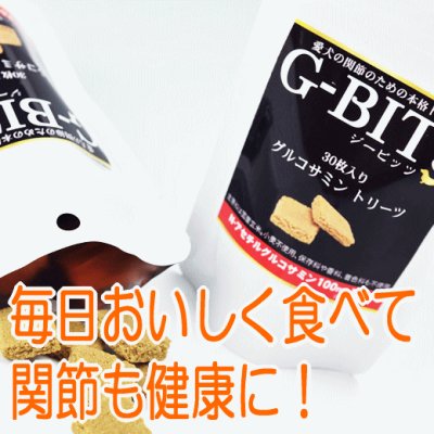 画像1: G-BITS（ジービッツ） グルコサミントリーツ