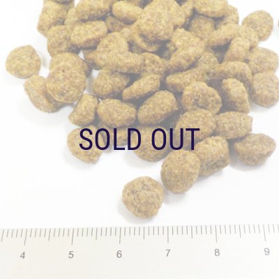 画像2: 【期限特価】ソリッドゴールド フィット アズア フィドル 2ｋｇ