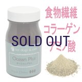 【認定オーガニックの海の恵み！】アーガイルディッシュ オーシャンプラス 70ｇ