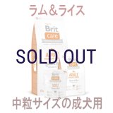 ブリット ケア ラム＆ライス アダルトM