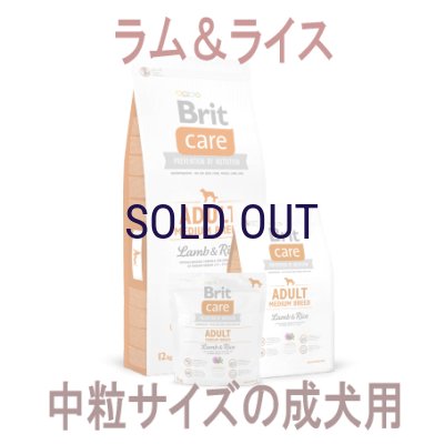 画像1: ブリット ケア ラム＆ライス アダルトM