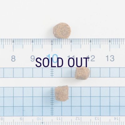 画像3: 【取扱終了】ボッシュ ハイプレミアム ミニアダルト ラム＆ライス（小粒タイプ）