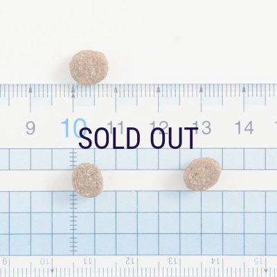 画像3: 【メーカー欠品（2026年2月リニューアル予定）】ザナベレ シニア チキン