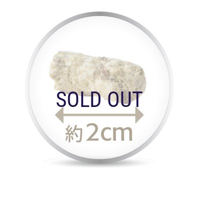 画像2: 【7月1日よりメーカーによる価格改定】K9ナチュラル ビーフ・グリーントライプ