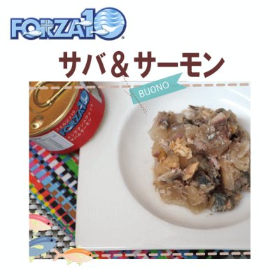 画像1: 【3月27日よりメーカーによる価格改定：352円（税込み）】フォルツァ10（FORZA10） キャットフード メンテナンス缶 サバ＆サーモン 85ｇ