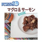 【3月27日よりメーカーによる価格改定：352円（税込み）】フォルツァ10（FORZA10） キャットフード メンテナンス缶 マグロ＆サーモン 85ｇ