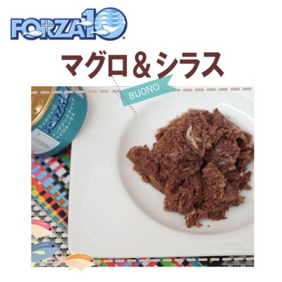 画像1: 【3月27日よりメーカーによる価格改定：352円（税込み）】フォルツァ10（FORZA10） キャットフード メンテナンス缶 マグロ＆シラス 85ｇ