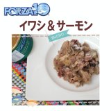 フォルツァ10（FORZA10） キャットフード メンテナンス缶 イワシ＆サーモン 85ｇ