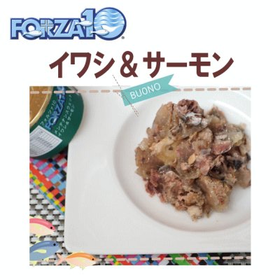 画像1: フォルツァ10（FORZA10） キャットフード メンテナンス缶 イワシ＆サーモン 85ｇ
