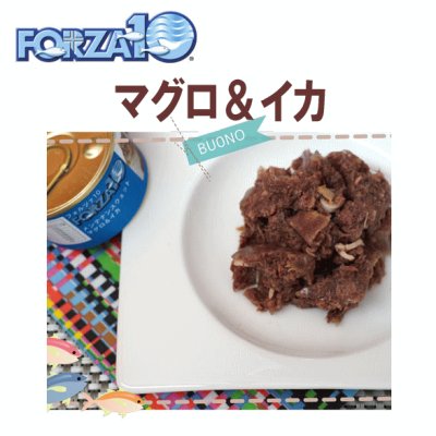 画像1: フォルツァ10（FORZA10） キャットフード メンテナンス缶 マグロ＆イカ 85ｇ