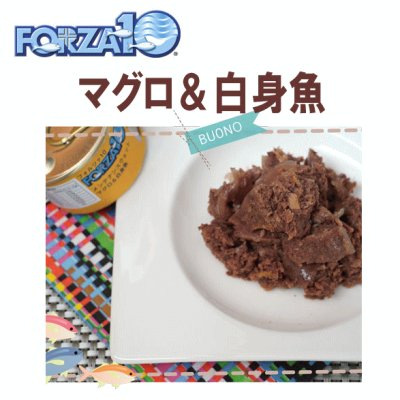 画像1: フォルツァ10（FORZA10） キャットフード メンテナンス缶 マグロ＆白身魚 85ｇ