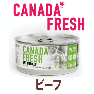画像1: カナダフレッシュ キャットフード缶 ビーフ 85ｇ