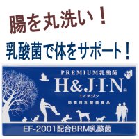 動物用乳酸菌食品H&J・I・N（ジン）（旧名称 JIN）