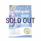 【メーカー欠品（入荷日未定）】ソリッドゴールド フィット アズア フィドル