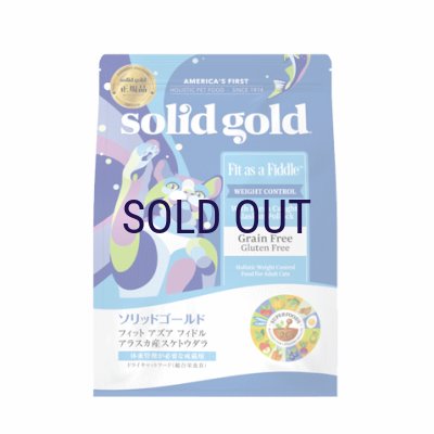 画像1: 【期限特価】ソリッドゴールド フィット アズア フィドル 2ｋｇ