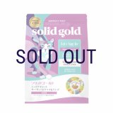 ソリッドゴールド インドアキャット