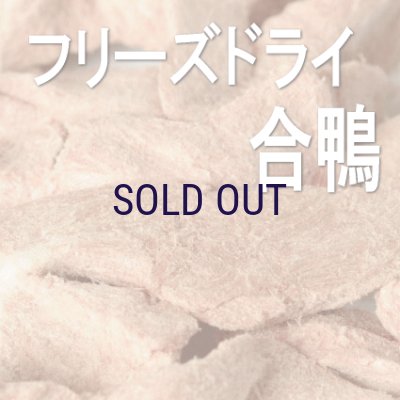 画像2: ルイトモ フリーズドライ 合鴨ささみ 25ｇ