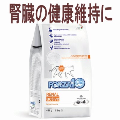 画像1: フォルツァ10（FORZA10） キャットフード リナールアクティブ