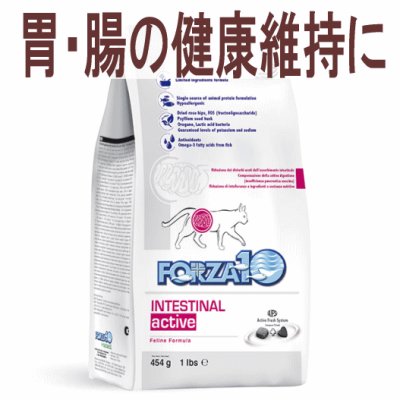 画像1: フォルツァ10（FORZA10） キャットフード インテスティナルアクティブ