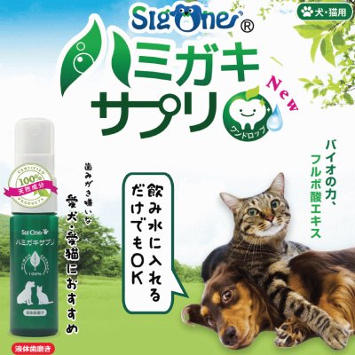 画像1: 【天然成分のフルボ酸エキス100％使用で安全！】シグワン ハミガキサプリ R 20ｍｌ（ドロップタイプ）