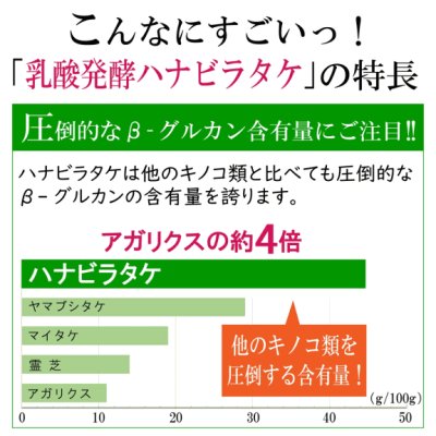 画像4: 【1日でも長く一緒に居たいから！】NMNサプリ 動物用仙寿豆（せんず）