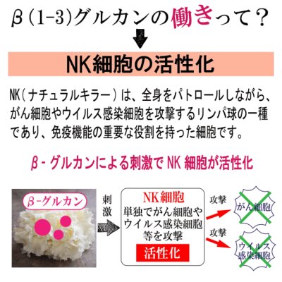 画像3: 【1日でも長く一緒に居たいから！】NMNサプリ 動物用仙寿豆（せんず）