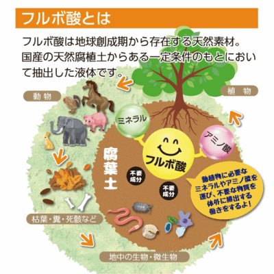 画像2: 【天然成分100% ハミガキマウスケア！全身にもOK！】TIERRA（ティエラ） 犬猫用 オーラルケア（スプレータイプ）