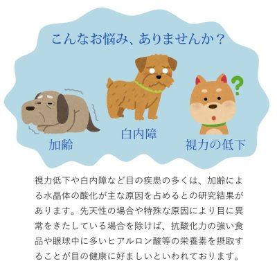 画像2: 【期限特価】 CPL アイケアブライト 80ｇ