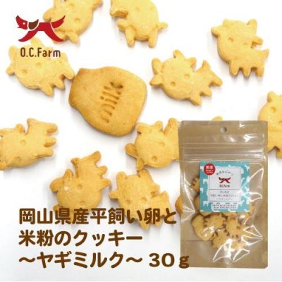 画像1: 岡山県産平飼い卵と米粉のクッキー ヤギミルク 30ｇ