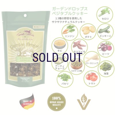 画像1: テラカニス ガーデンドロップス ベジタブルクッキー 50ｇ※多少の砕けはご容赦ください。
