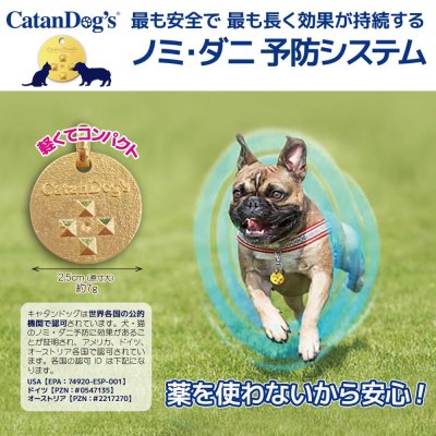 画像4: 【首にぶら下げるだけ!ノミ・ダニ予防が2年間有効!】キャタンドッグ(カタンドッグ)