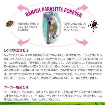 画像7: 【首にぶら下げるだけ!ノミ・ダニ予防が2年間有効!】キャタンドッグ(カタンドッグ)