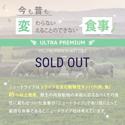 画像4: ニュートライプ キャットフード缶 サーモン＆グリーントライプ 95ｇ