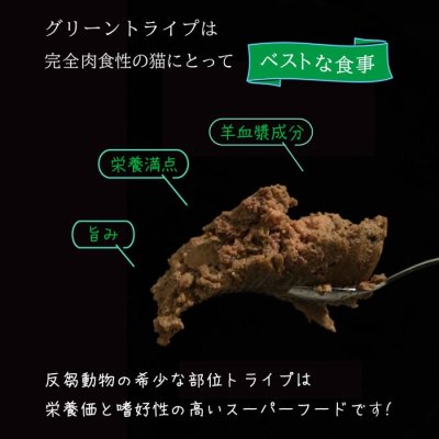 画像3: ニュートライプ キャットフード缶 サーモン&グリーントライプ 95g