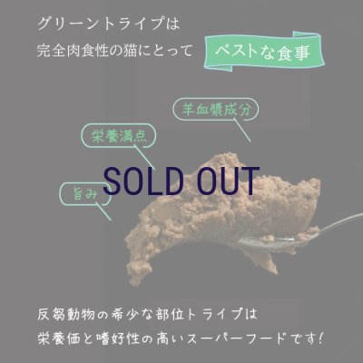 画像3: ニュートライプ キャットフード缶 サーモン＆グリーントライプ 95ｇ