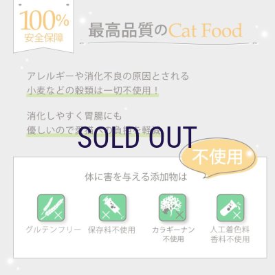 画像9: ニュートライプ キャットフード缶 サーモン＆グリーントライプ 95ｇ