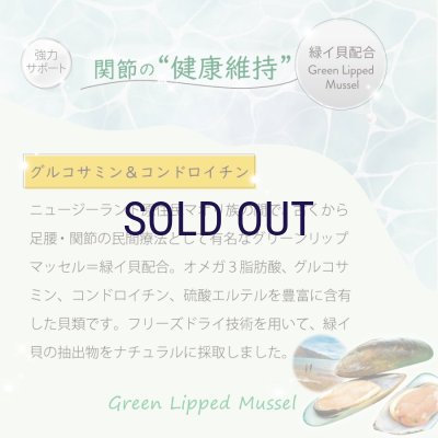 画像10: ニュートライプ キャットフード缶 サーモン＆グリーントライプ 95ｇ