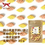 岡山県産平飼い卵と米粉のクッキー 焼き安納芋＆紫芋 30ｇ