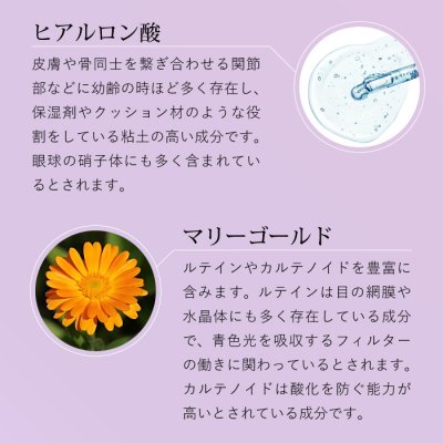 画像9: 【目の健康維持に!】 CPL アイケアブライト