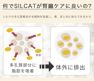 画像7: 【数量限定特価】腎臓ケアサプリ シルキャット 3gx30包(犬用:シルクフルと中身は同じです。)