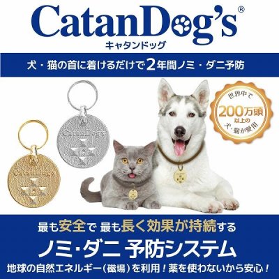 画像1: 【首にぶら下げるだけ！ノミ・ダニ予防が2年間有効！】キャタンドッグ（カタンドッグ）