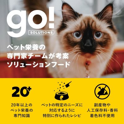 画像4: go!消化+腸の健康ケア キャットフード