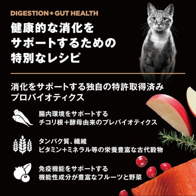 画像6: go!消化+腸の健康ケア キャットフード