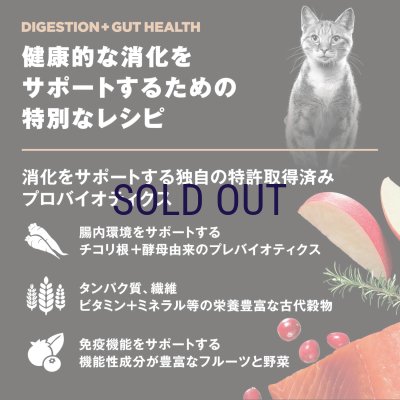 画像6: お一人様何回でもOK【無料サンプル（少量パック）（一度のご注文では5種類まで）】go！消化+腸の健康ケア キャットフード