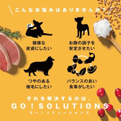 画像3: お一人様何回でもOK【無料サンプル(少量パック)(一度のご注文では5種類まで)】go!皮膚+被毛ケア ドッグフード