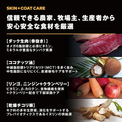 画像5: お一人様何回でもOK【無料サンプル(少量パック)(一度のご注文では5種類まで)】go!皮膚+被毛ケア ドッグフード