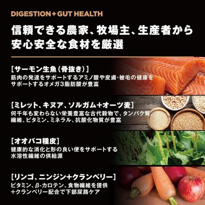 画像5: go!消化+腸の健康ケア キャットフード