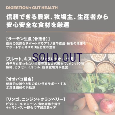 画像5: お一人様何回でもOK【無料サンプル（少量パック）（一度のご注文では5種類まで）】go！消化+腸の健康ケア キャットフード